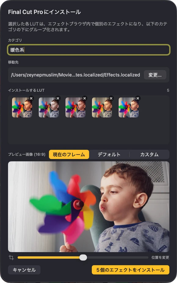Look Lut のインストールシート。カテゴリ名、保存先、そして Final Cut Pro に入る選択済みの LUT