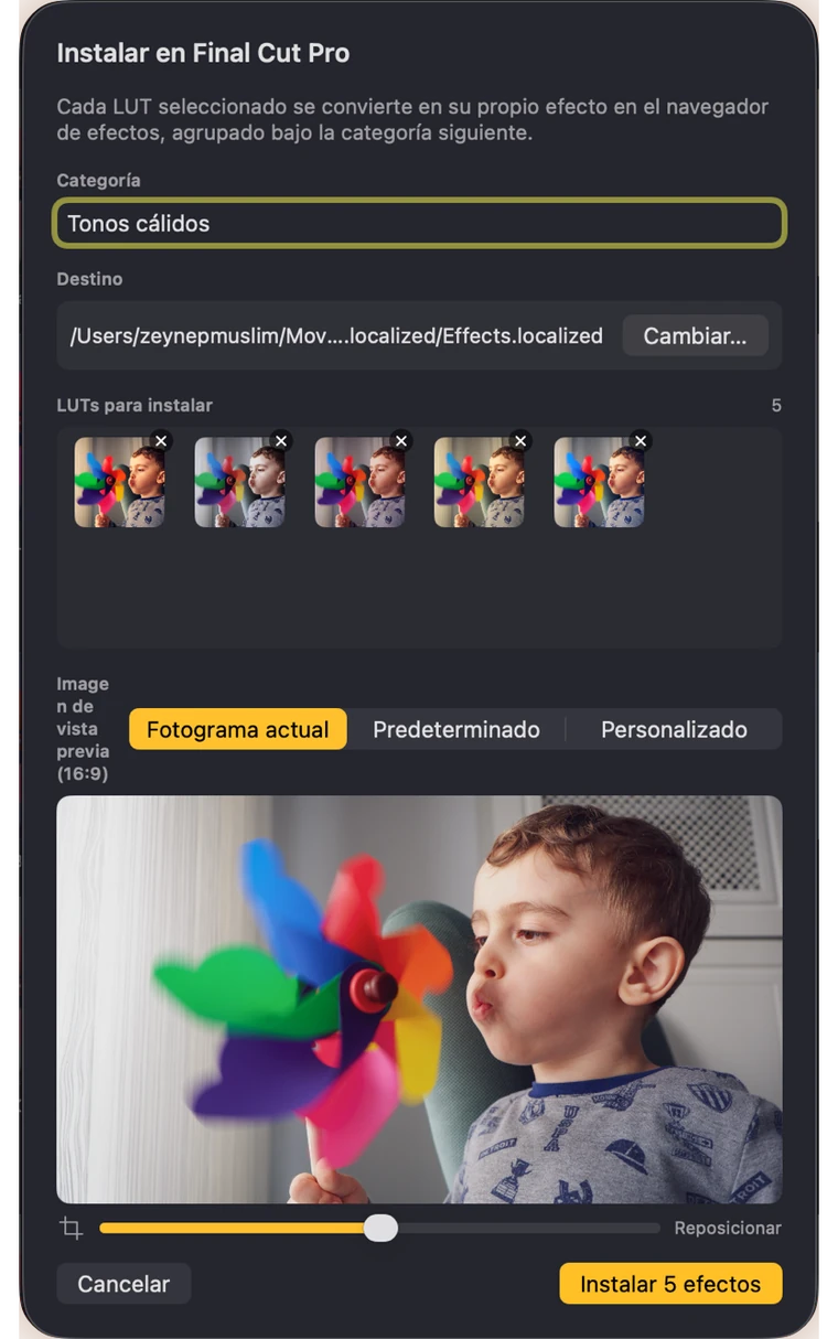 Ventana de instalación que confirma qué LUT se instalarán en Final Cut Pro y bajo qué categoría
