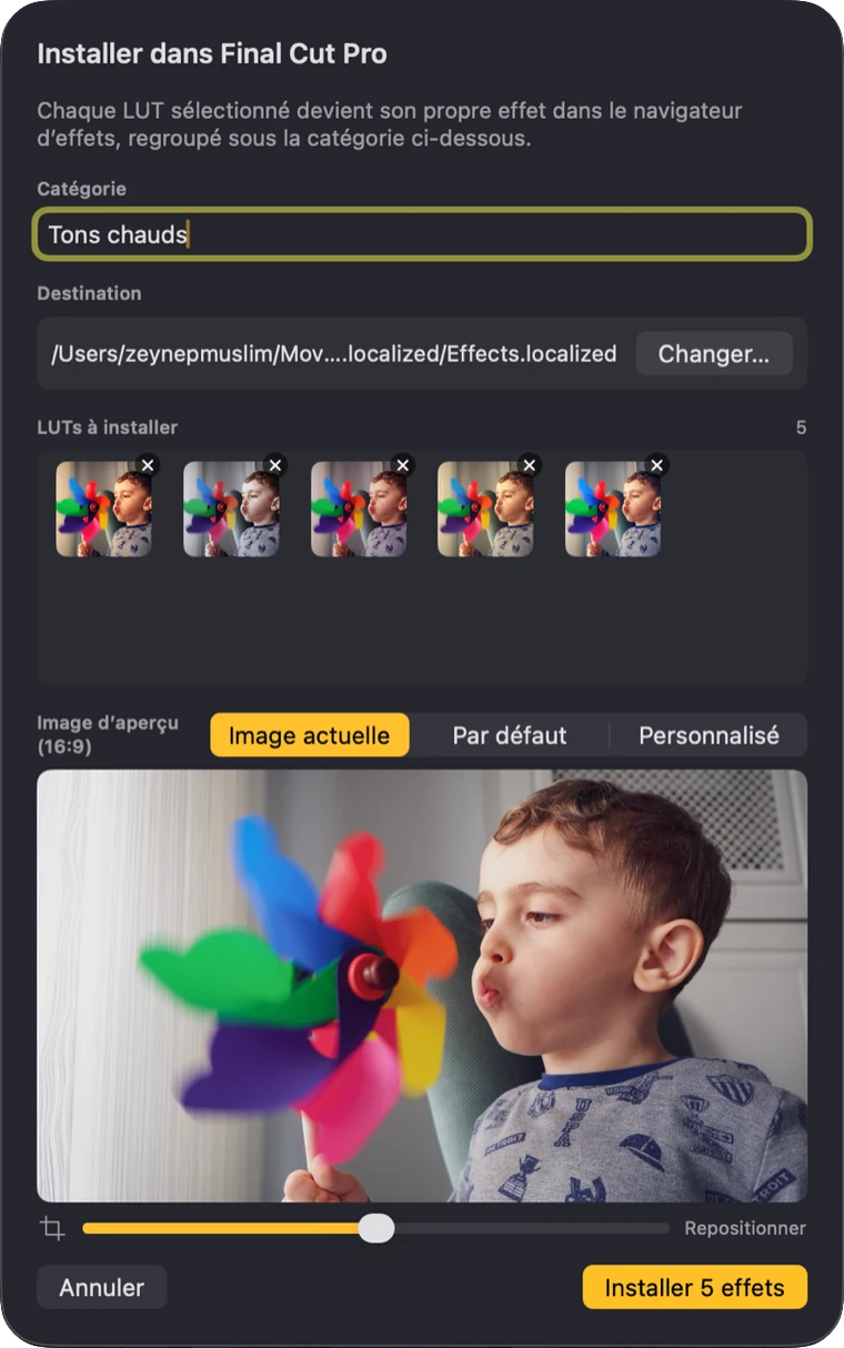Fenêtre d’installation confirmant quelles LUT seront installées dans Final Cut Pro et sous quelle catégorie